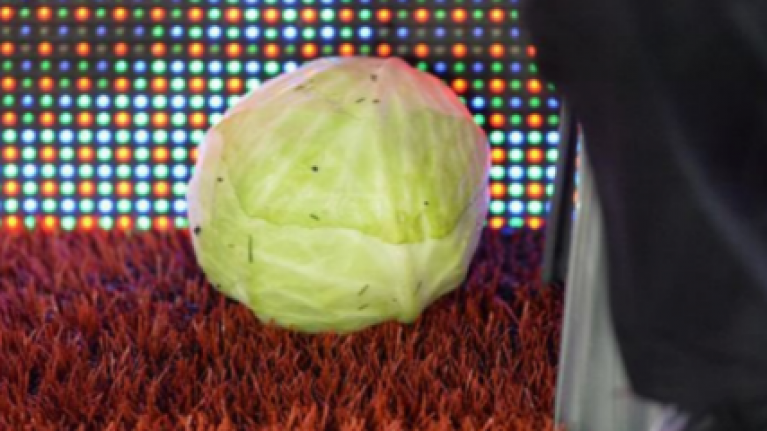 1342032