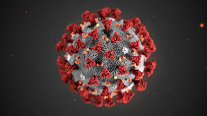 راههای مبارزه با ویروس کرونا از نظر سازمان بهداشت جهانی