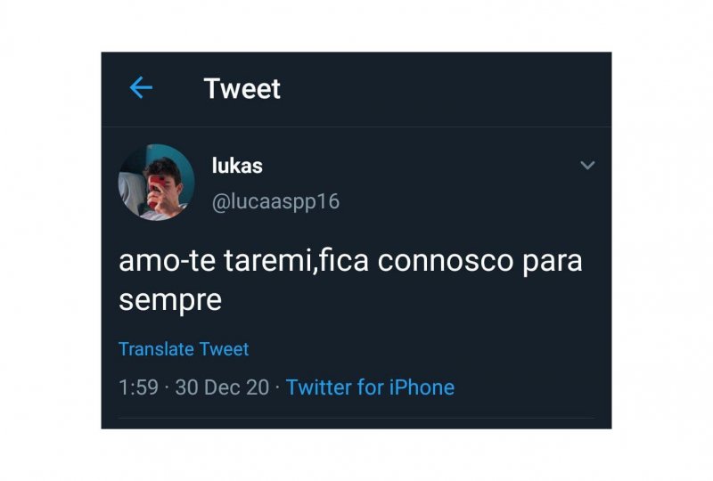 1558119