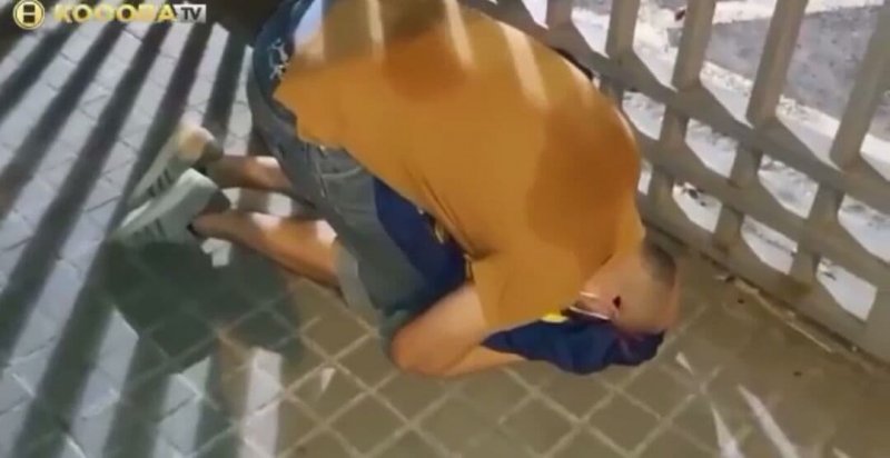 1631528