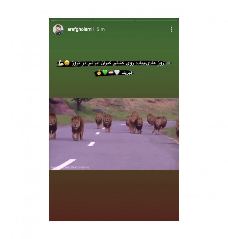 1650733