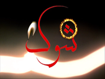 به زمین خواران "شوک"وارد می شود
